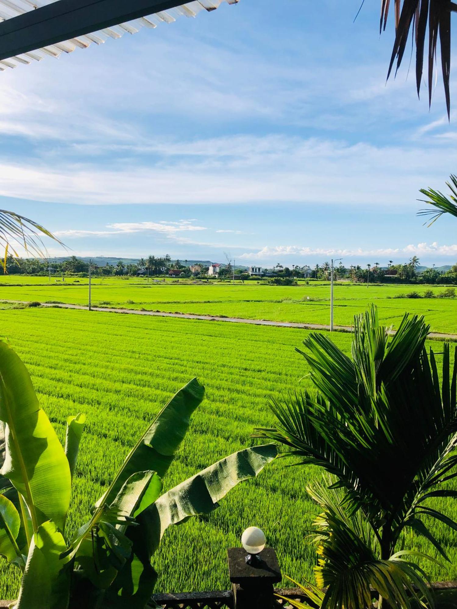 Countryside Homestay Quảng Ngãi Exteriör bild