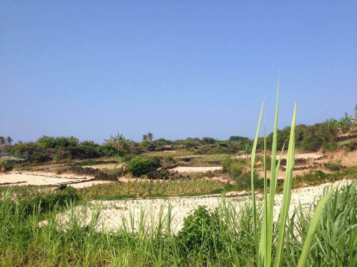 Countryside Homestay Quảng Ngãi Exteriör bild
